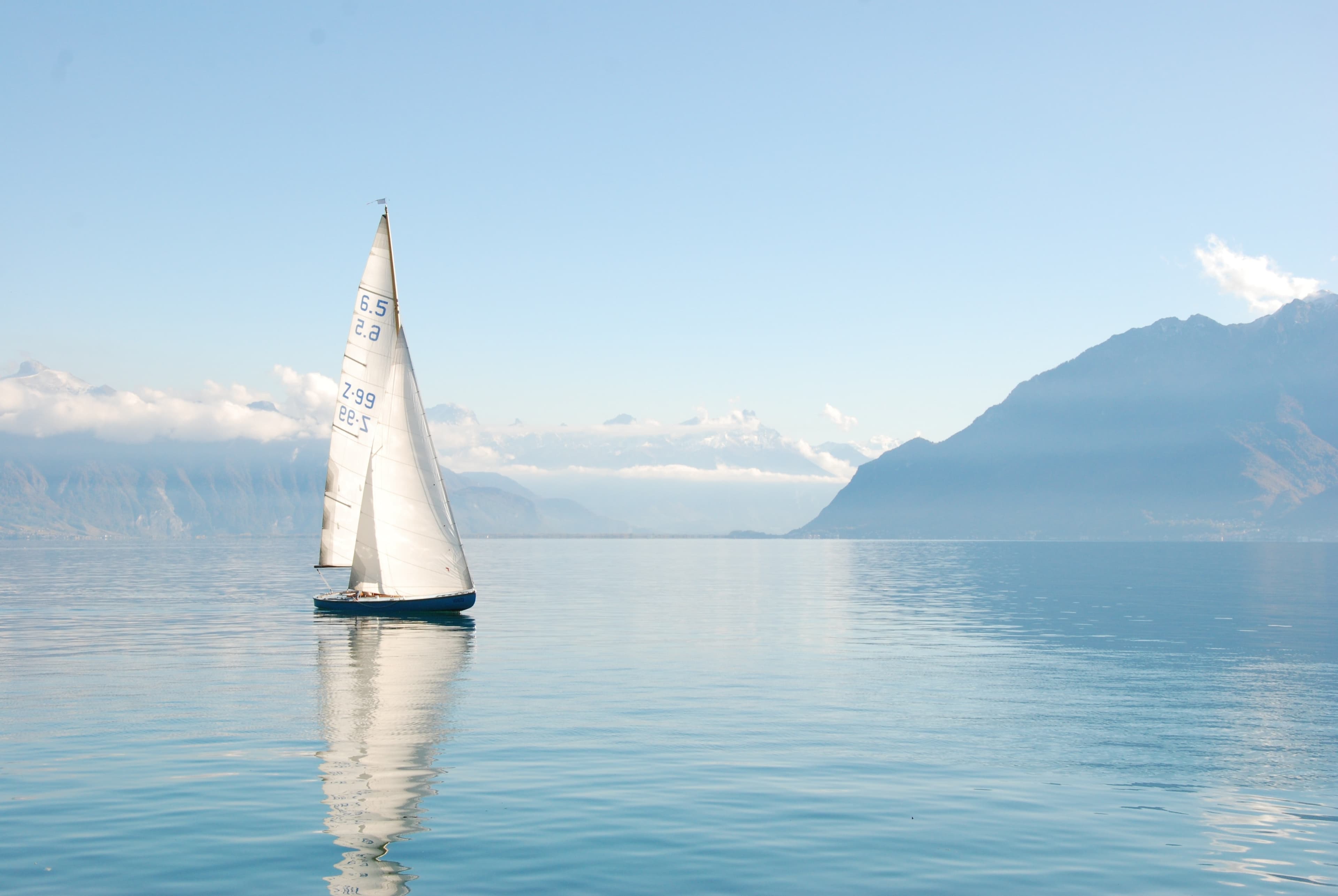 A lost boat, a radar and how to implement a binary search in Javascript